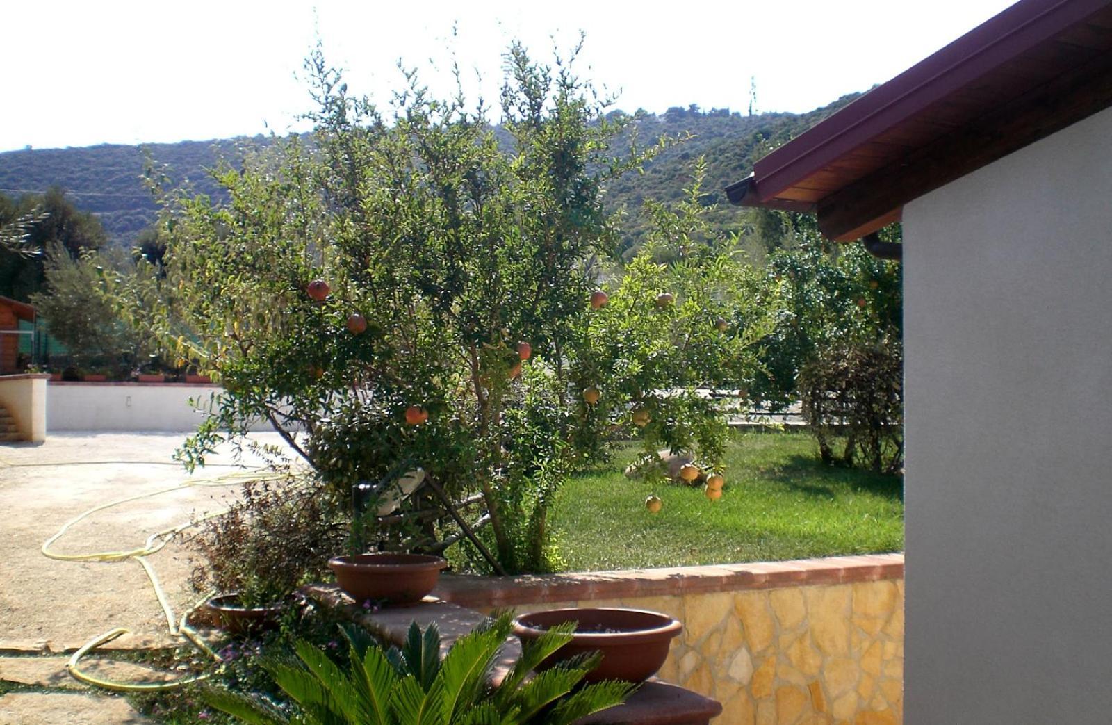 Bed And Breakfast La Casetta Monopoli Luaran gambar