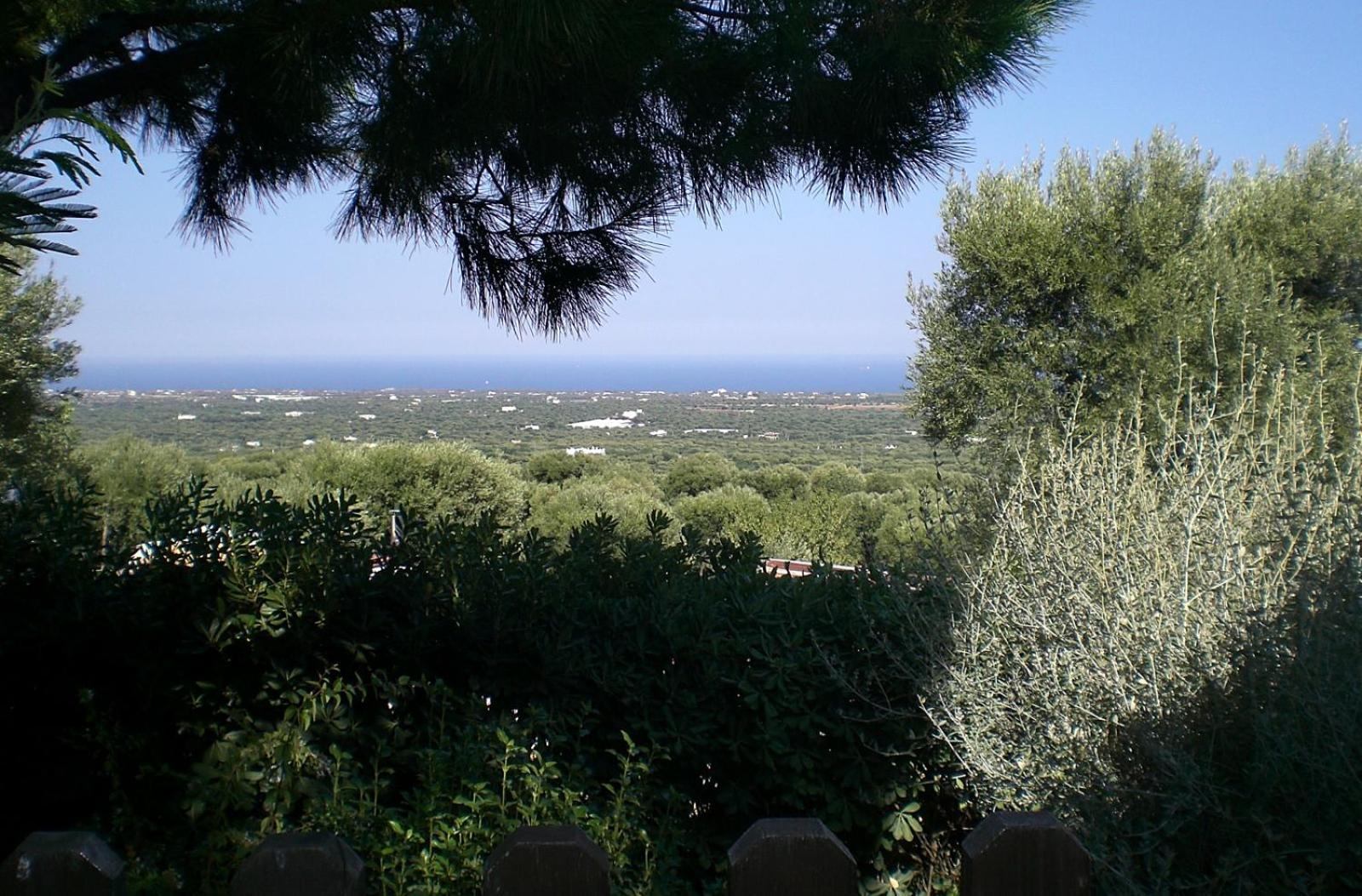 Bed And Breakfast La Casetta Monopoli Luaran gambar