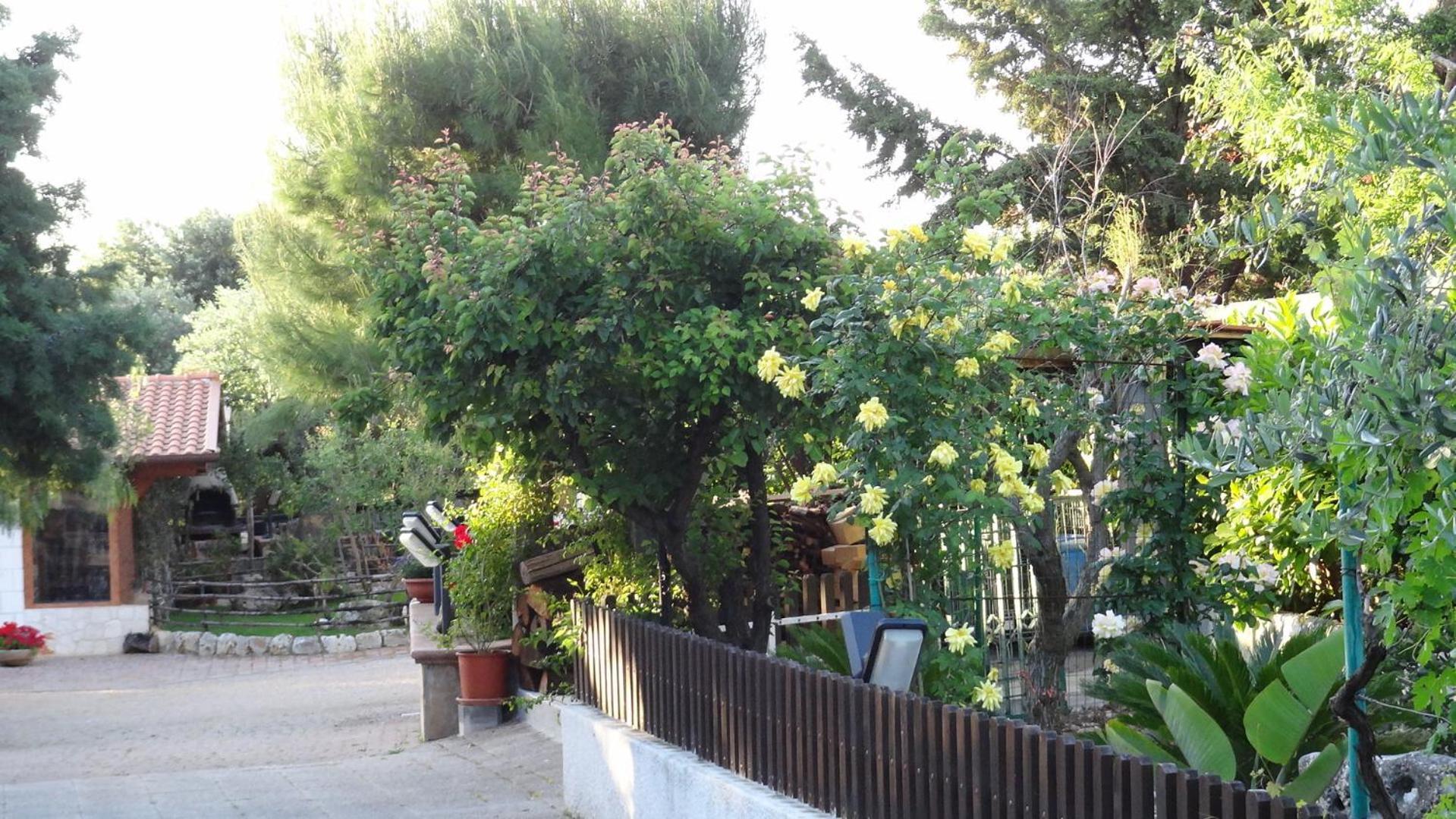 Bed And Breakfast La Casetta Monopoli Luaran gambar