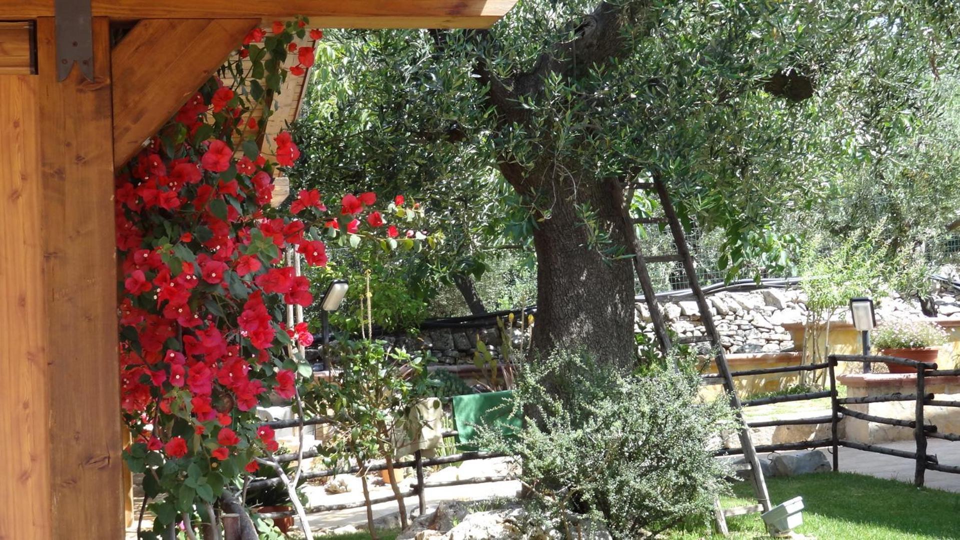 Bed And Breakfast La Casetta Monopoli Luaran gambar