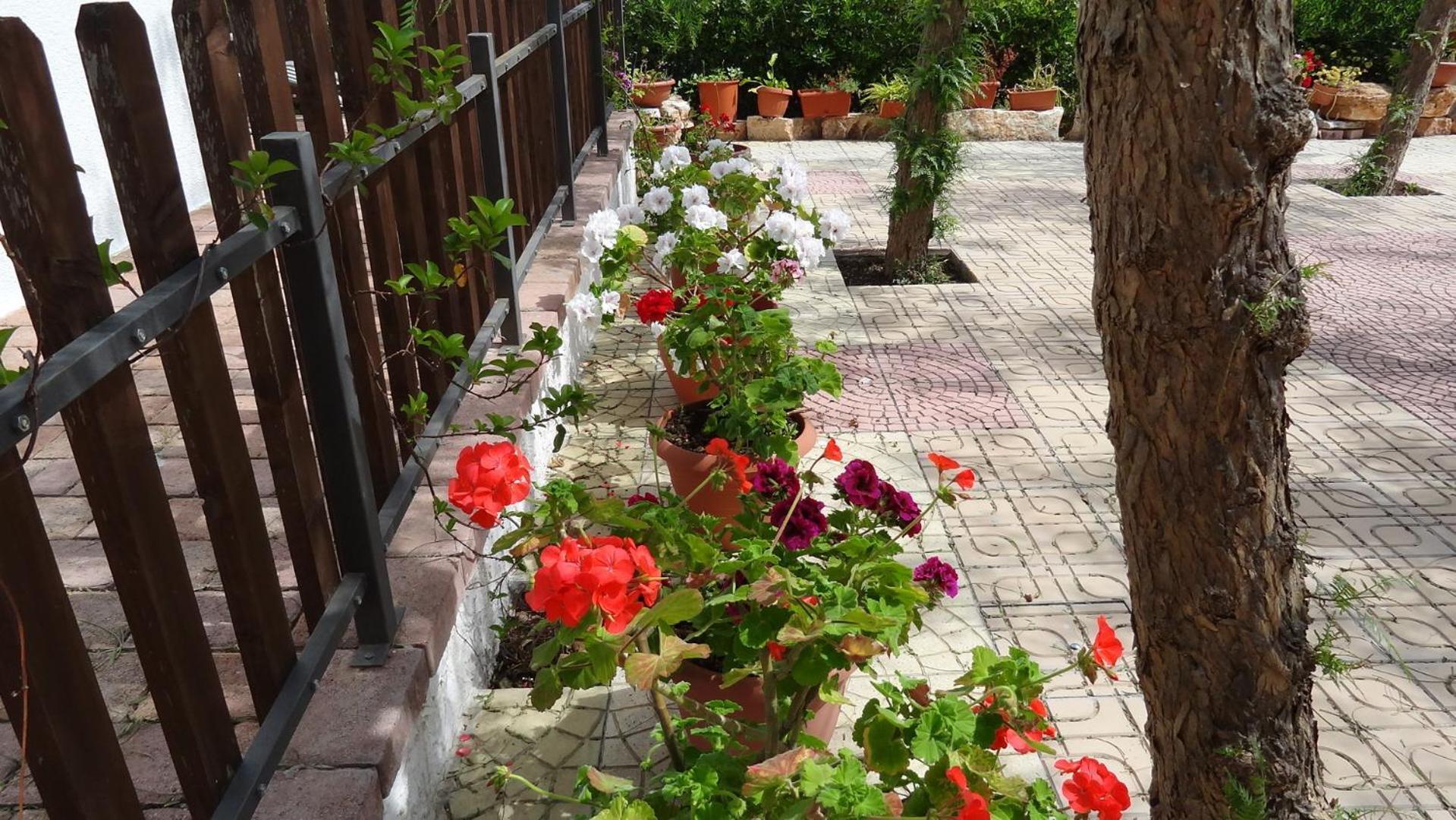 Bed And Breakfast La Casetta Monopoli Luaran gambar