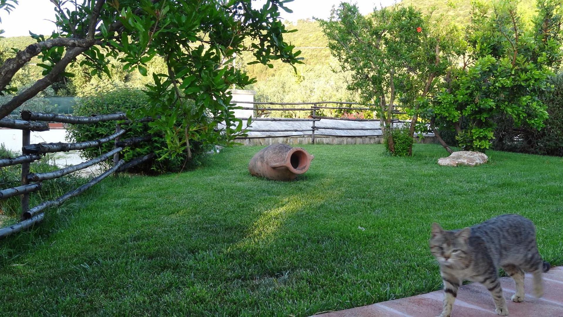 Bed And Breakfast La Casetta Monopoli Luaran gambar